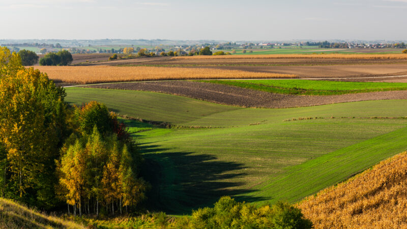 piękno i historia świętokrzyskiego przewodnik