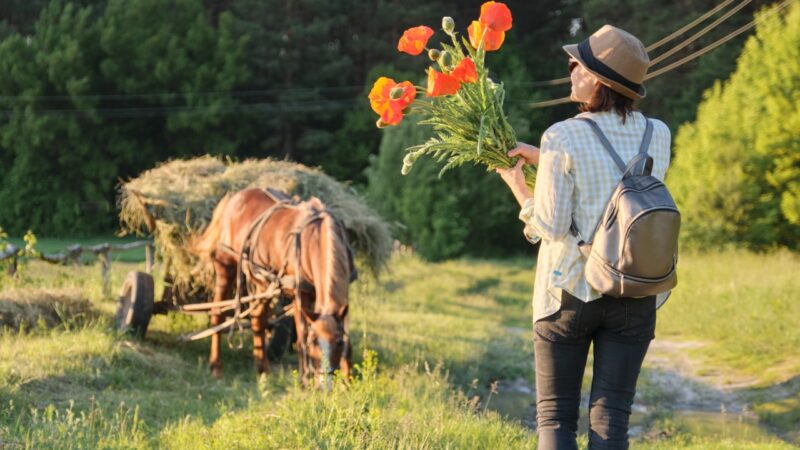 jak poznać bogactwo przyrody świętokrzyskiego
